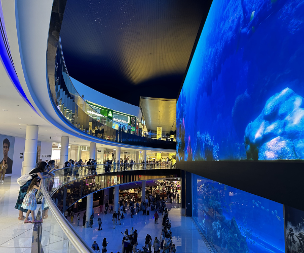 Dubai Mall  