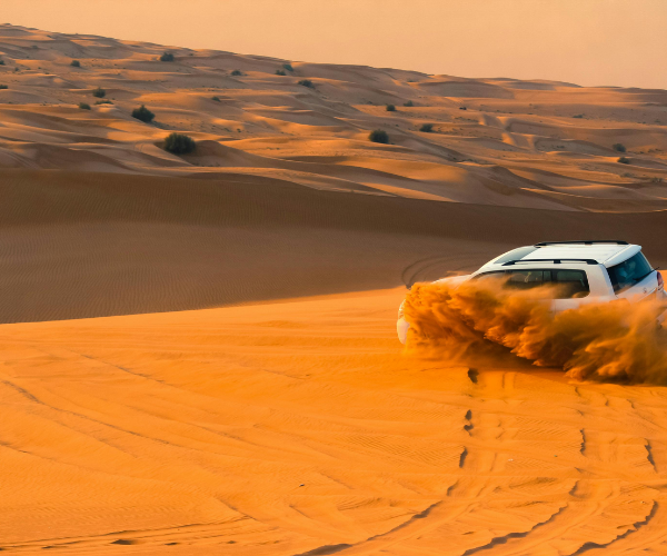 Desert Safari 