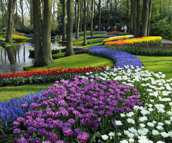 Keukenhof Gardens