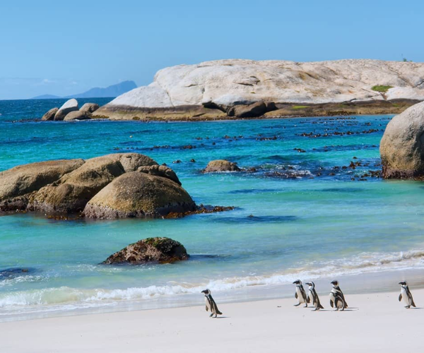 Boulders Beach 