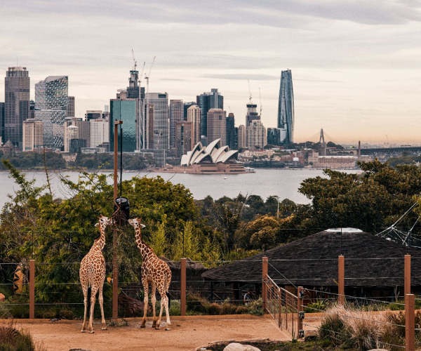 Taronga Zoo  
